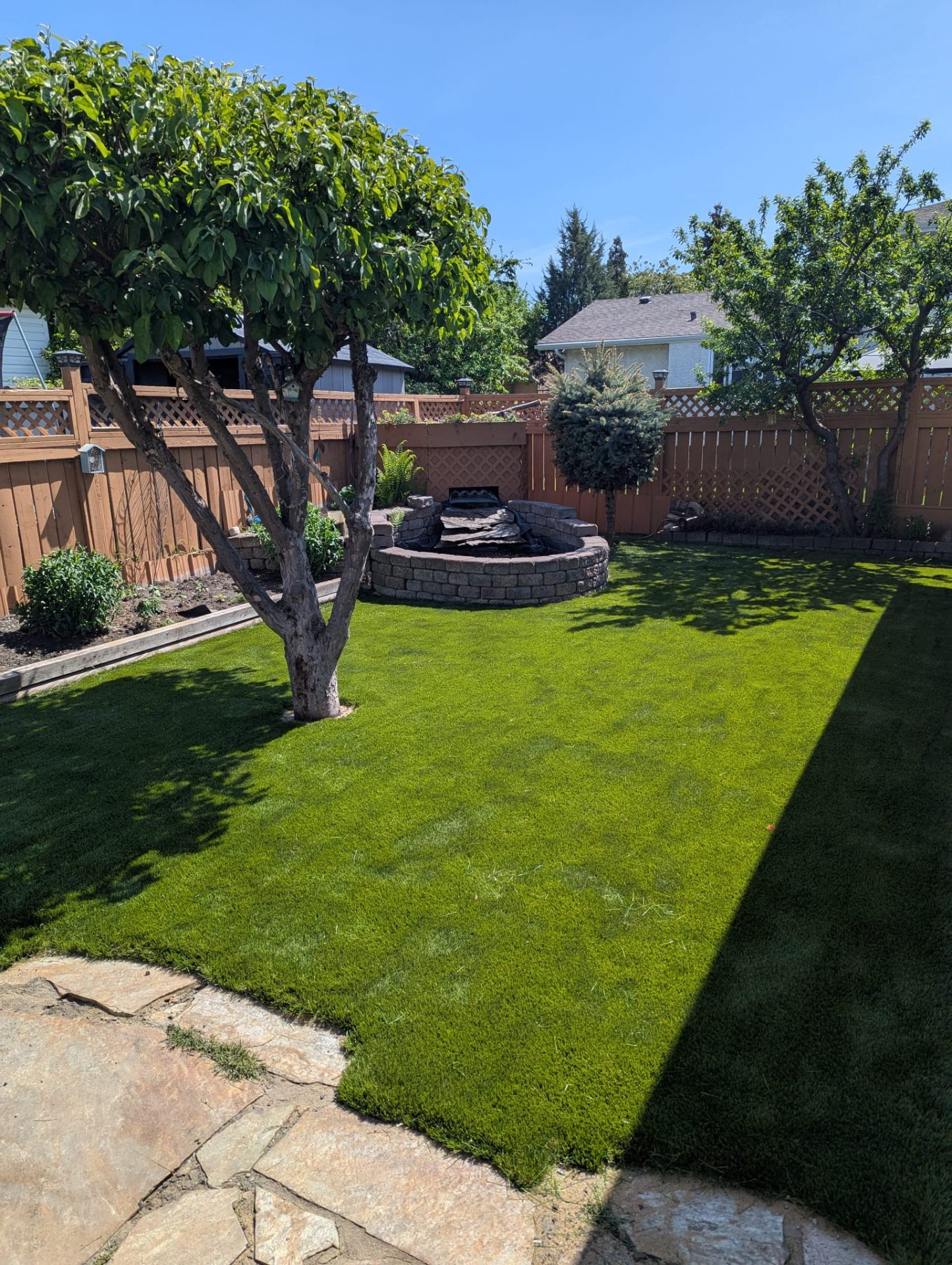 Artificial Turf